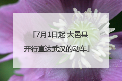 7月1日起 大邑县开行直达武汉的动车